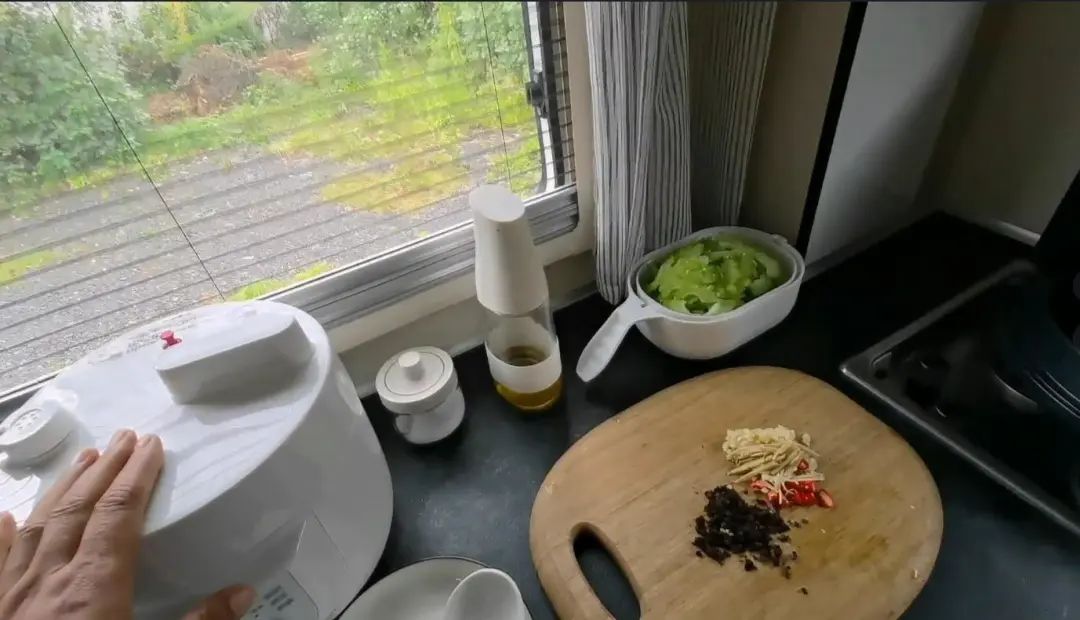 58歲的她，自駕房車旅居，一人兩犬，活成了自己喜歡的樣子